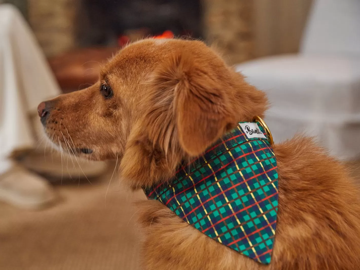Tartan Vert | French Bandit Discount